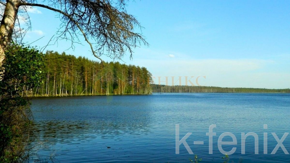 участок 17 сот